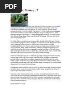 Download Usaha Es Cendol by iwannugroho82 SN47312212 doc pdf