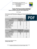 Actas de Escrutinio 2020