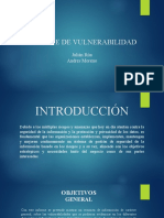 Presentacion - ANALISIS VULNERABILIDADES