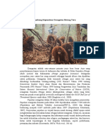 Ambang Kepunahan Orangutan Batang Toru