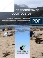 Manual de Necropsia de Odontocetos AMEVEFAS 20171