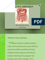 Oktia Hani Pertiwi - 1814301008 - Trauma Abdomen