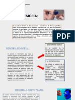 4° Grado - DPCC - 19 Sesión