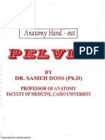 Anatomy SD Pelvis Sameh Doss PDF