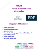 Metabolism Overview