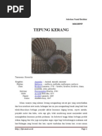 Download tepung kerang by Rahmat Hadi Saputro SN47315096 doc pdf
