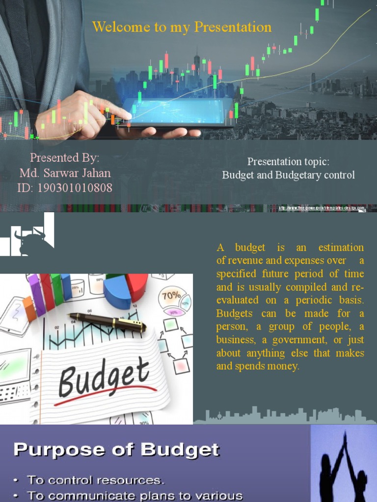 Budgeting Basics Understanding Budgets and the Budgetary Process PDF