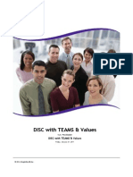DISC Report with TEAMS & Values