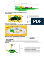 LKPD Fotosintesis