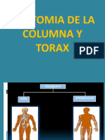 ANATOMIA DE LA COLUMNA Y TORAX - AGOSTO 2019