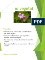 6 - 7 - Reino Vegetal