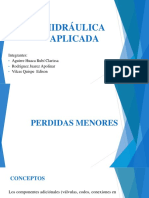 CAP.10 - Perdidas Menores