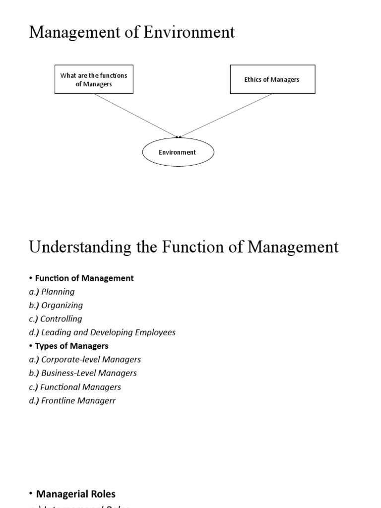 Managerial Environmental Analysis | PDF | Profit (Economics) | Demand