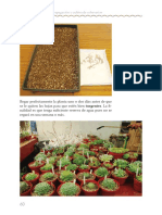 Guia Practica de Propagaci N y Cultivo de Las Especies Del Genero Echeveria-61-70