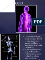 Estructura y funciones de la columna vertebral