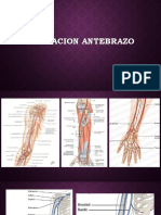 Irrigación y Drenaje Antebrazo