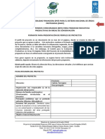 Fomato_Perfiles_Proyectos_270913.doc