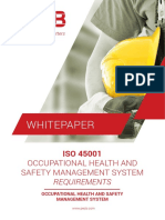 38-whitepaper-iso-45001-occupational-health-and-safety-management-system_v2_9B24527DB1464BD3985994234EF6F3C7