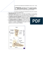 Semiologia Pie y Tobillo