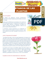 Importancia-de-las-Plantas-para-Quinto-Grado-de-Primaria.doc