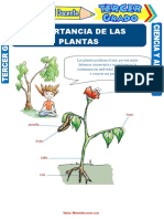 Importancia-de-las-Plantas-para-Tercer-Grado-de-Primaria.doc