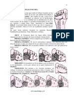 Pelmatos PDF