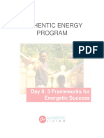 Authentic Energy Program: Day 8: 3 Frameworks For Energetic Success