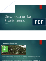 Presentacion 1 Dinamica de los Ecosistemas