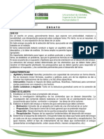 Guía Actividad Ensayo PDF