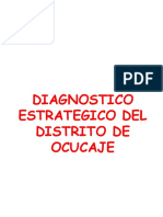 Diagnostico Estrategico Del Distrito de Ocucaje PDF