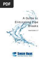 White Paper A Guide To Eliminatimg Pipe Breaks PDF