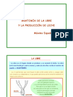 anatomia de la ubre y produccion lechera.pdf