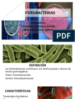 ENTEROBACTERIAS (Expo. Microbiología)