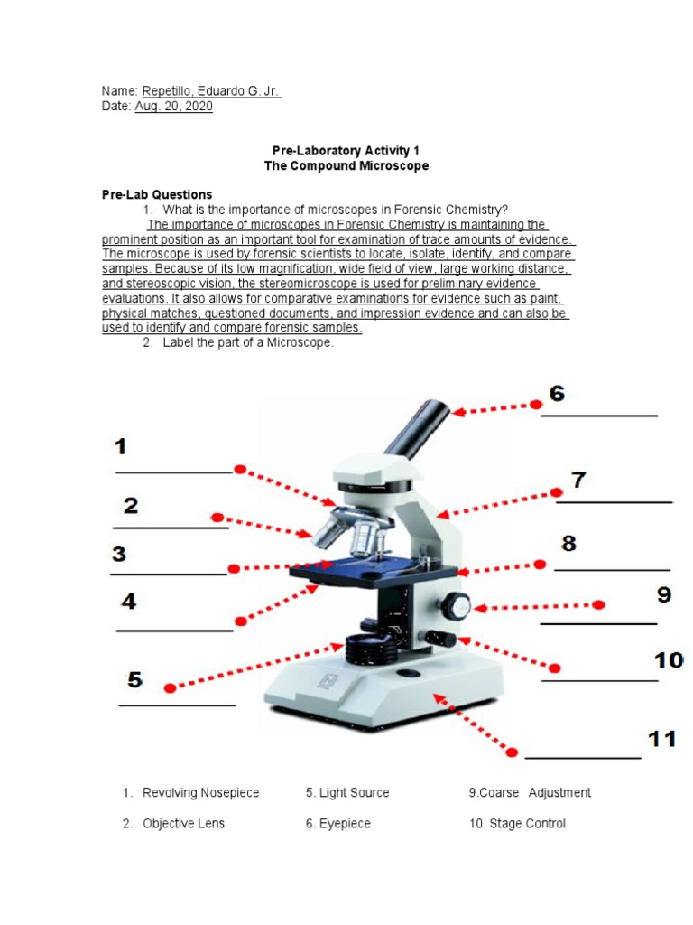 Pre-Laboratory Activity 1 The Compound Microscope Pre-Lab Questions | PDF