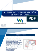 Presentación del proceso de deshidratación de la PG.pptx