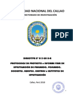 DIRECTIVA 013-PROTOCOLO DE INVESTIGACIÓN.pdf