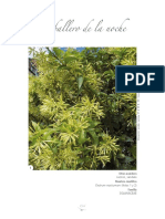 arboles de cuidad.pdf