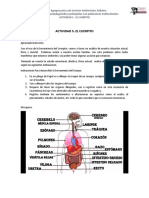 2.5 Actividad 5. Formato El Cuerpito