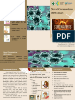 Leaflet Coronavirus New pdf907