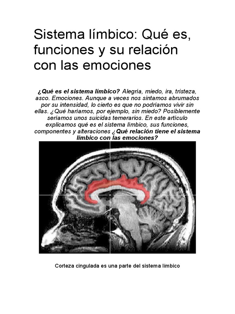 Funciones del sistema límbico y emociones | PDF | Sistema límbico ...