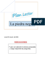 Plan Lector La Piedra Negra