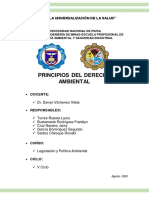 Principios Derecho Ambiental