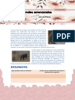 Ficha Informativa N PDF