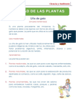 Los Seres Vivos-1 PDF