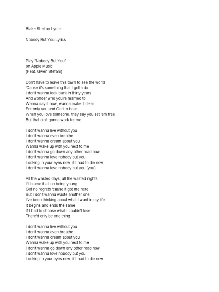 Nobody But You Blake Shelton Lyrics PDF