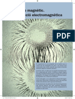 Física 2BA. Unitat 5 Camp Magnètic - Inducció Electromagnètica PDF