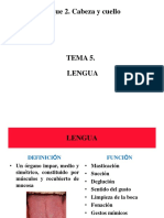 TEMA 05LENGUA.pdf