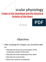 Cardiovascular Physiology