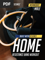 Perfect Pushup Workouts PDF | PDF