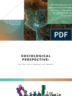 23 - Sociological and Anthropological PDF